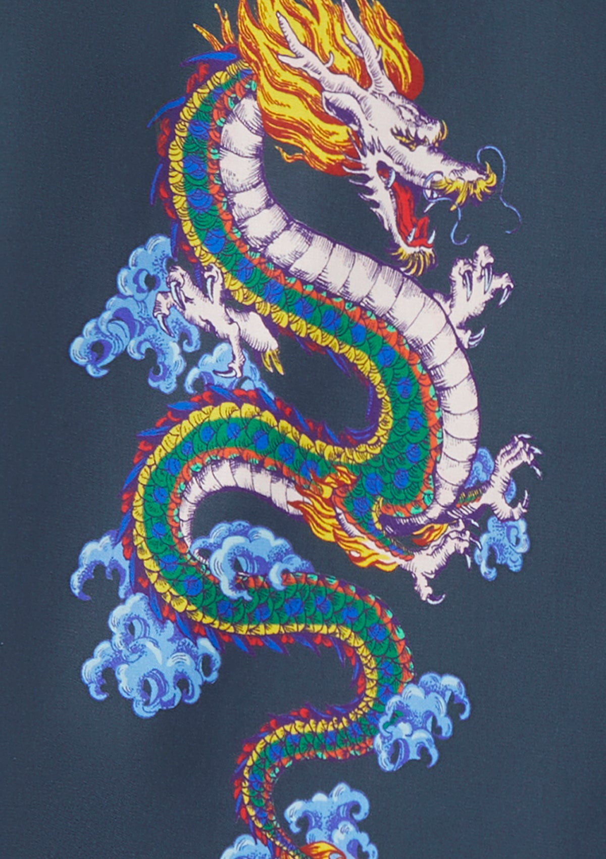 Shenlong Shirt