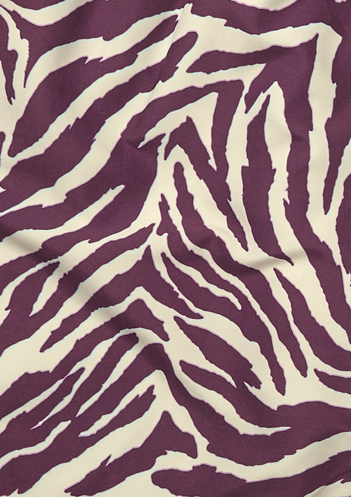 Tropical Zebra II