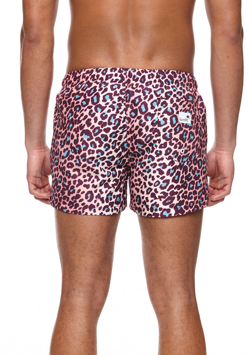 Boardies® Leopard II Shortie Shorts Back 