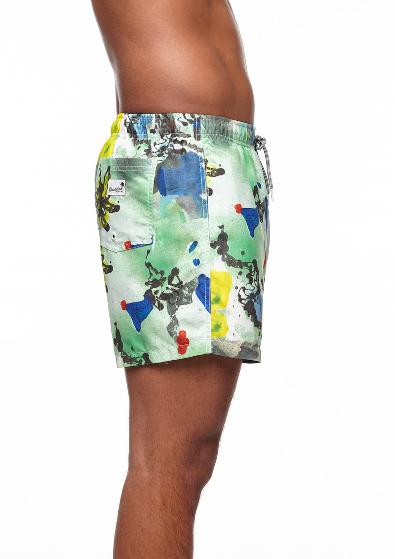 Boardies® Paint Palm Mid Shorts Side