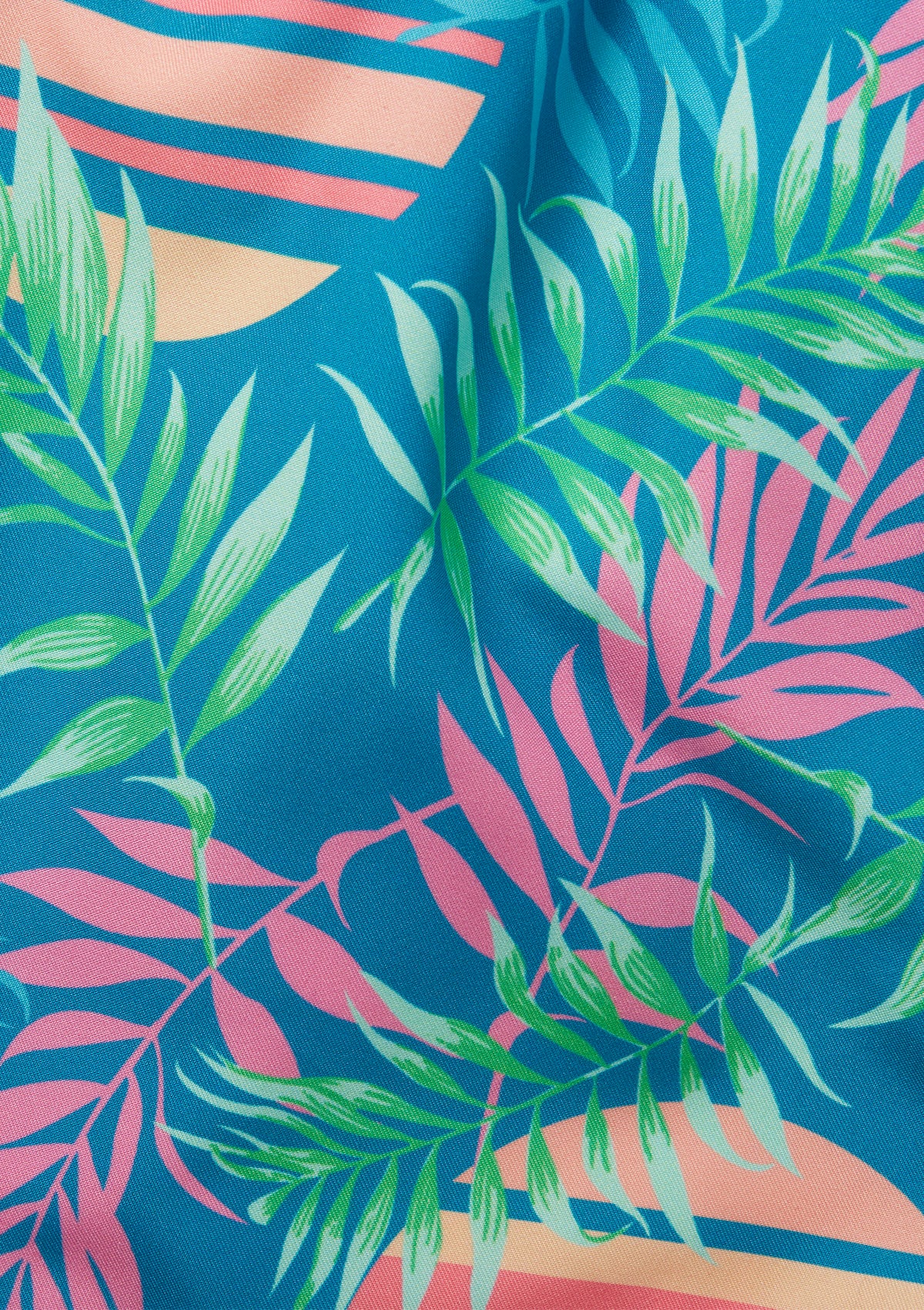 Rising Palm