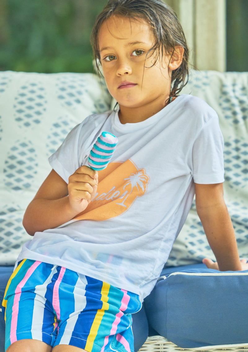 Boardies® Kids Crush Stripe Swim Shorts Try On