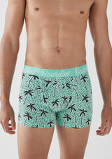 Boardies® Flair Palm Underwear Green