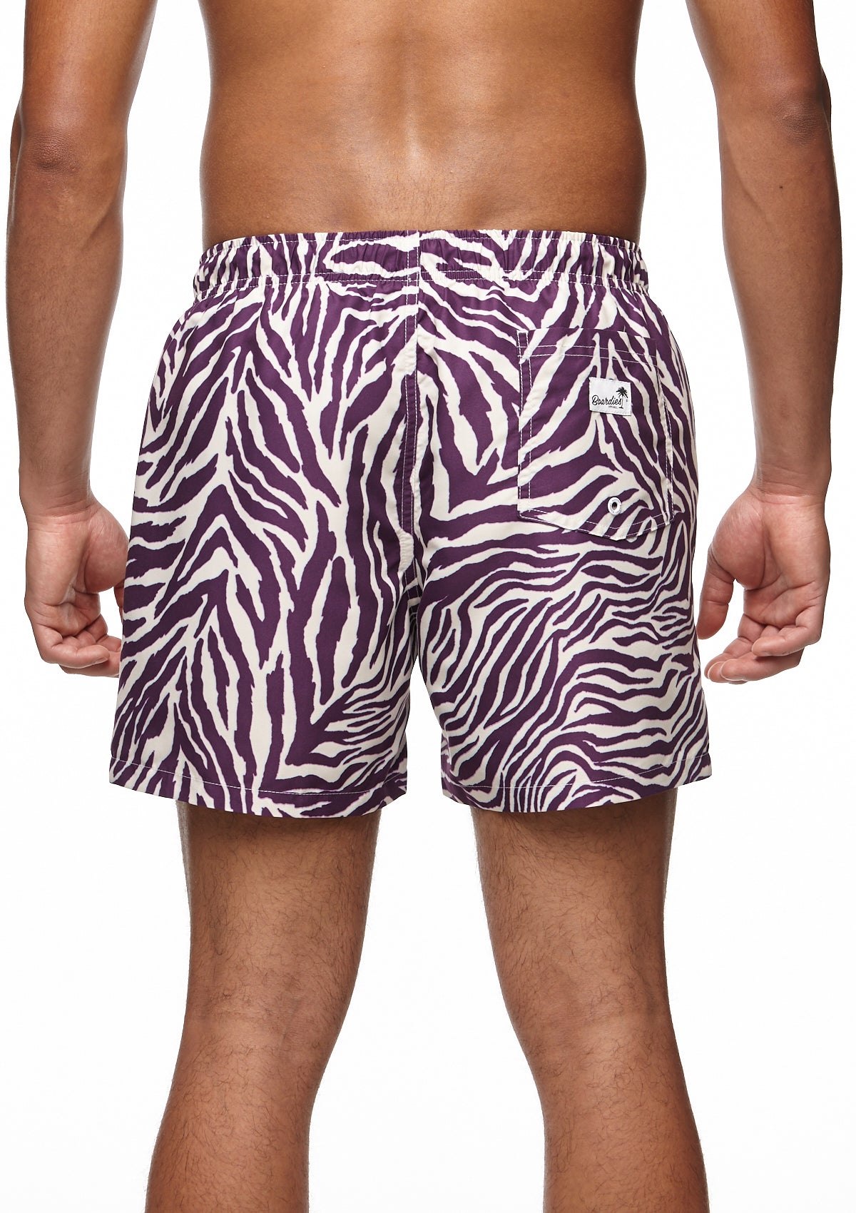 Tropical Zebra II