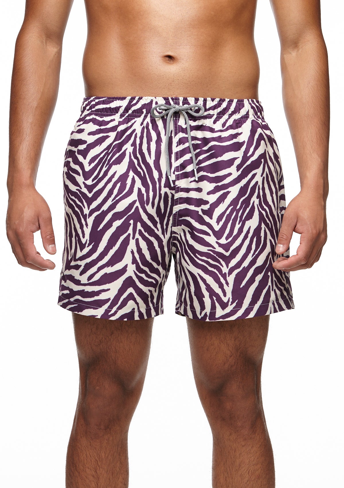 Tropical Zebra II