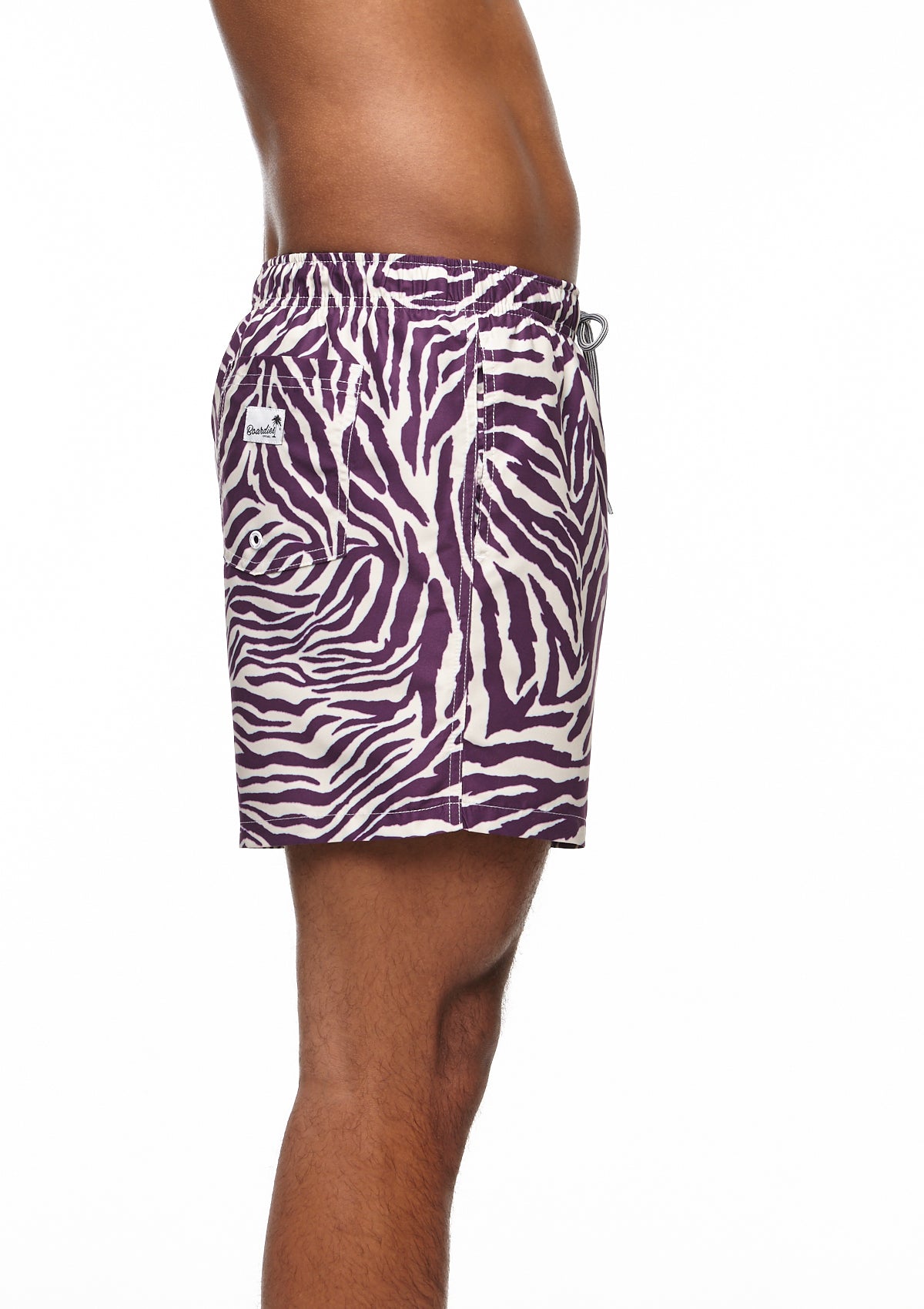 Tropical Zebra II