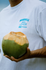 Boardies® SS22 Ice Company Apparel T-Shirt
