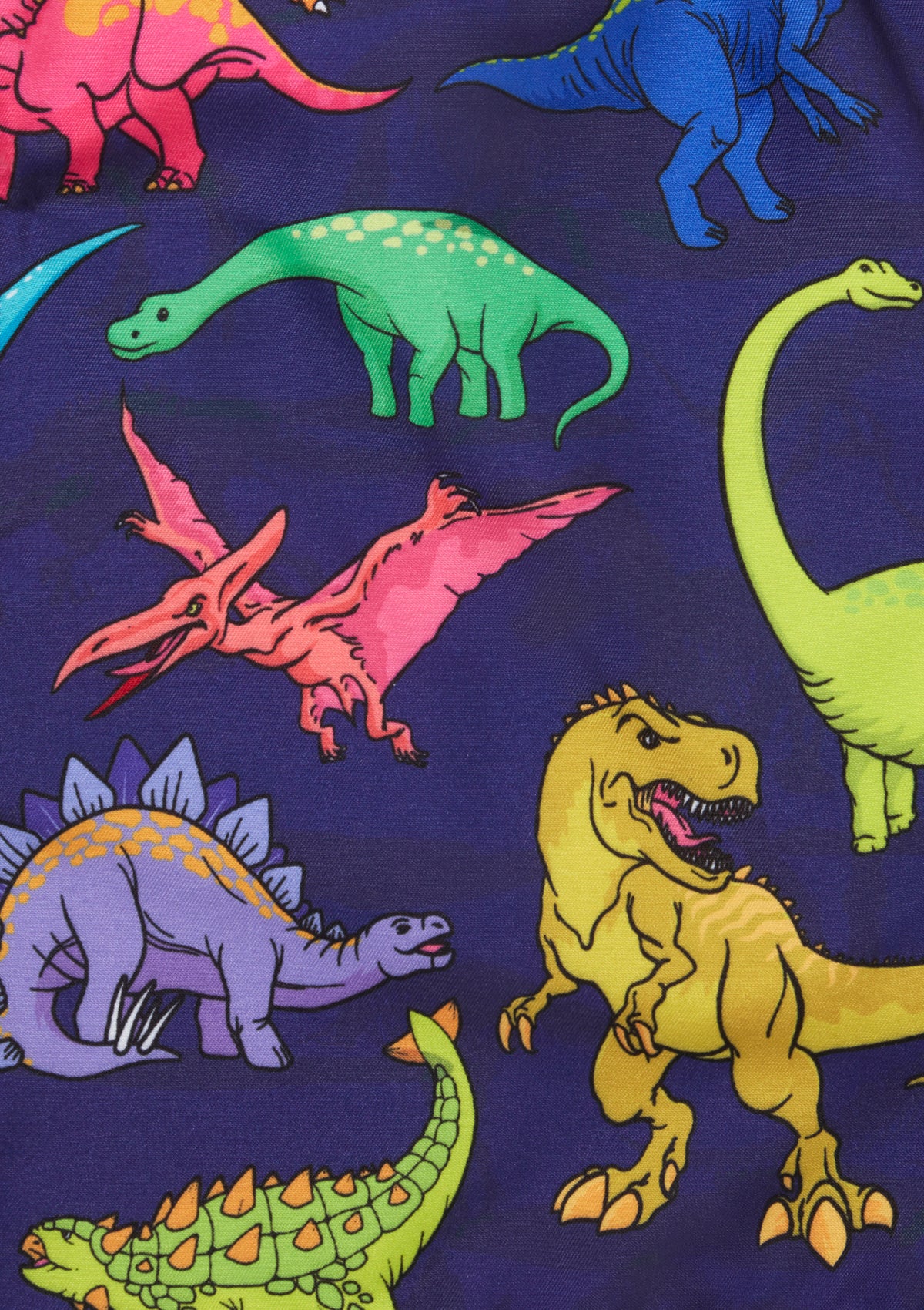 Boardies® Kids SS22 Vibrant Dino Swim Shorts