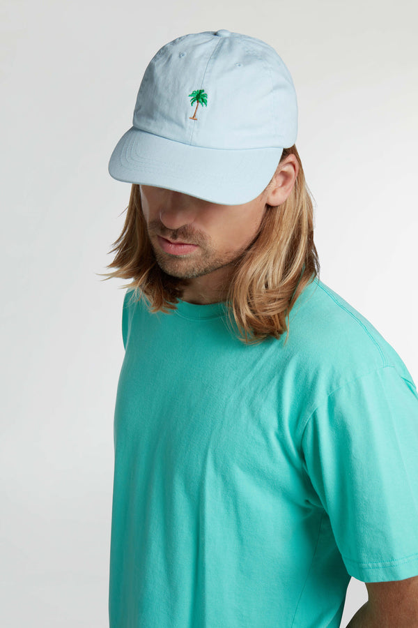 Boardies Blue Palm Dad Cap Close