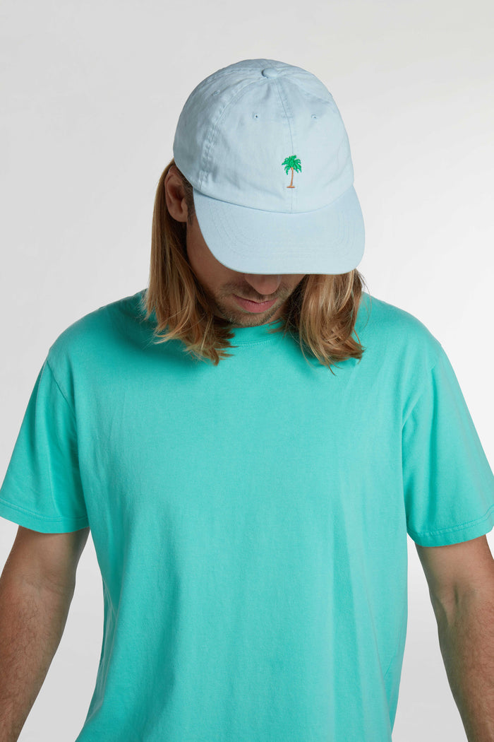 Boardies Blue Palm Dad Cap Down